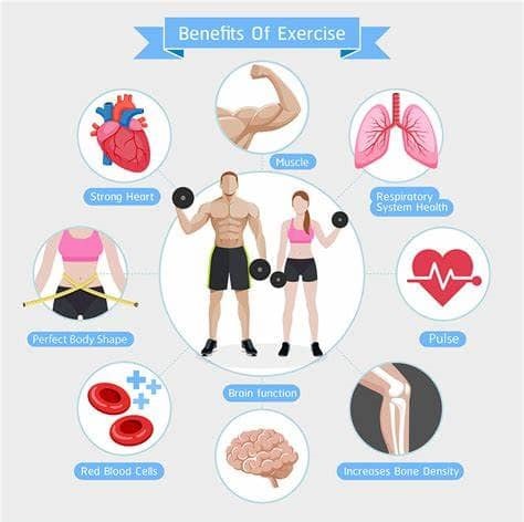 The Top Benefits of Regular Exercise for Your Physical and Mental Health